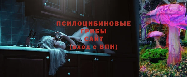 стафф Алексин