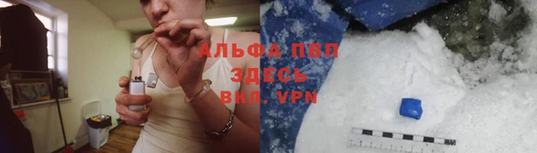 стафф Алексин