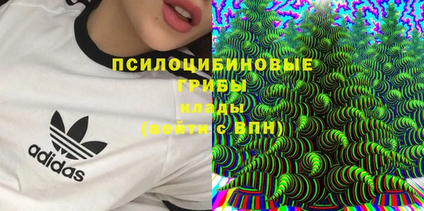 тгк Алзамай