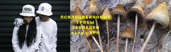 стафф Алексин